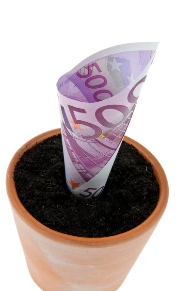 Euro účet v květináč. — Stock fotografie