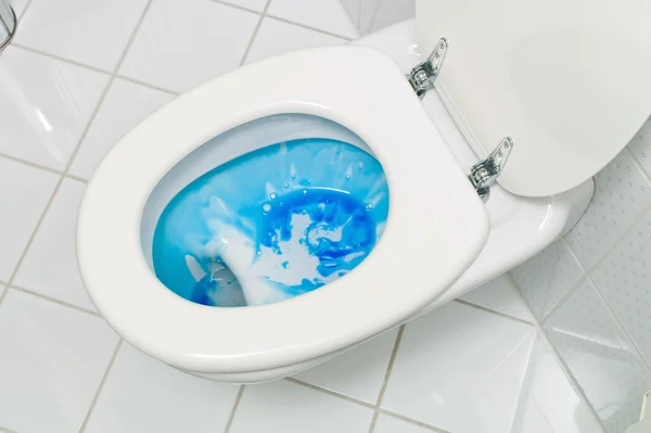 Toaletten i ett badrum — Stockfoto