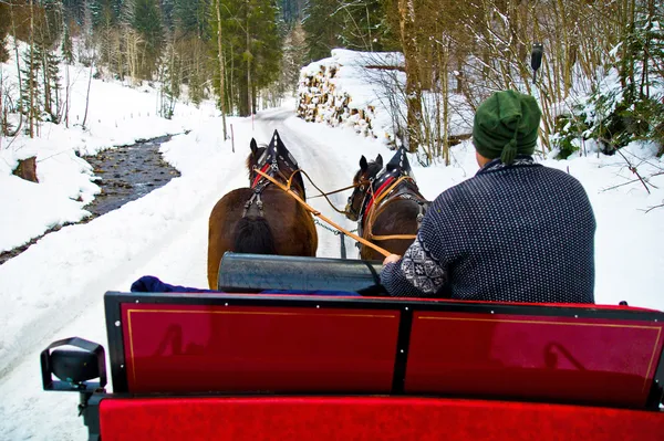 Romance en las vacaciones de invierno — Foto de Stock