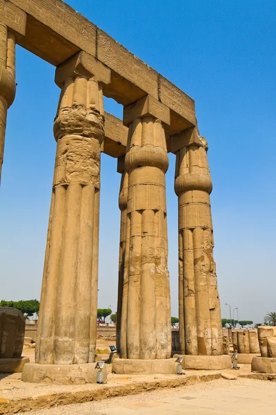 Mesir, mewah amun kuil kemewahan . — Stok Foto