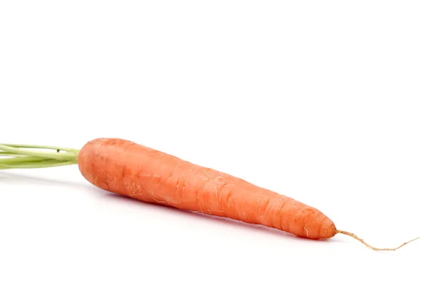 Frische Karotten — Stockfoto