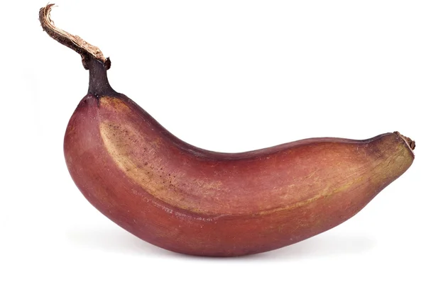 Plátano rojo —  Fotos de Stock
