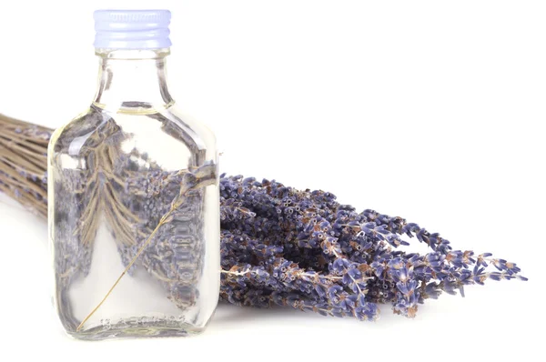 Getrockneter Lavendel — Stockfoto