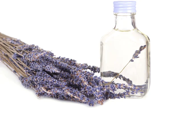 stock image Dried lavender