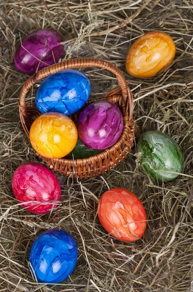 Easter eggs on a grass — Stock Photo, Image
