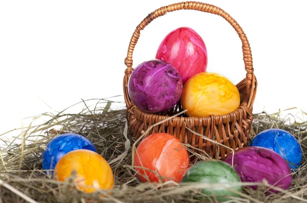 Paskalya yumurtaları bir çimenlerin üzerinde — Stok fotoğraf