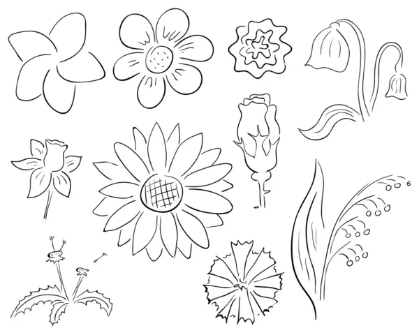 Flores de contorno — Archivo Imágenes Vectoriales