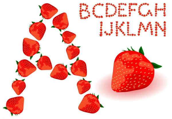 Strawberries alphabet — Stock Vector