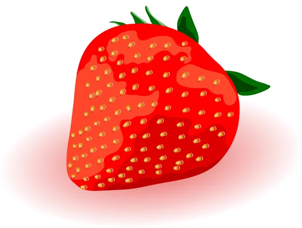 Strawberry — Stock Vector