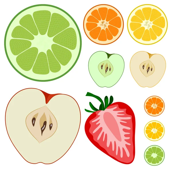 The fruits — Stock Vector