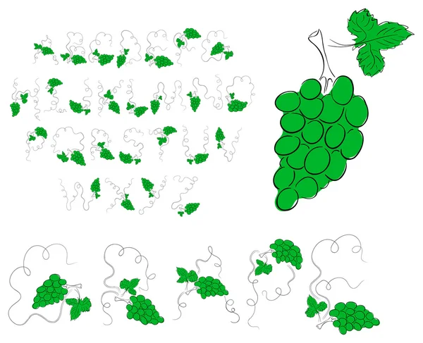 Groene druif alfabet — Stockvector