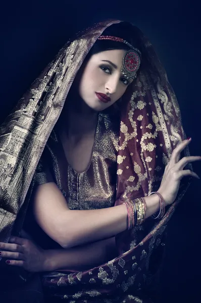 Beautiful brunette portrait with traditionl indian costume — Stock Photo, Image