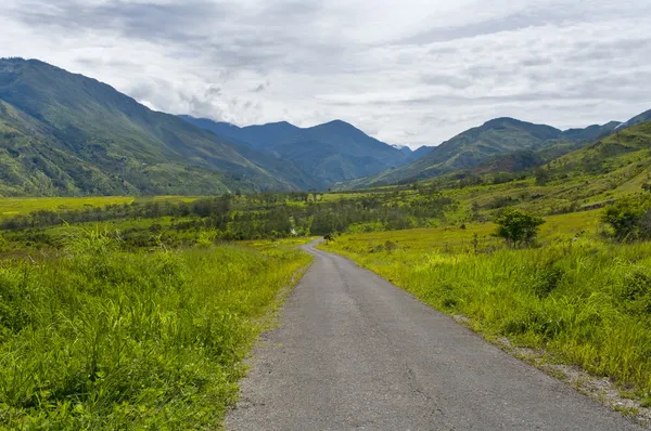 Camino en las montañas, Nueva Guinea —  Fotos de Stock
