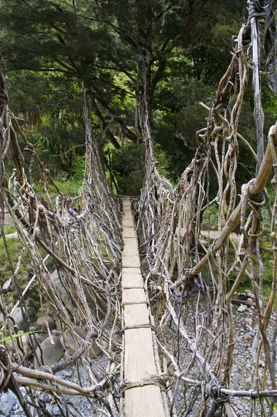 ニューギニアのロープの橋 — ストック写真