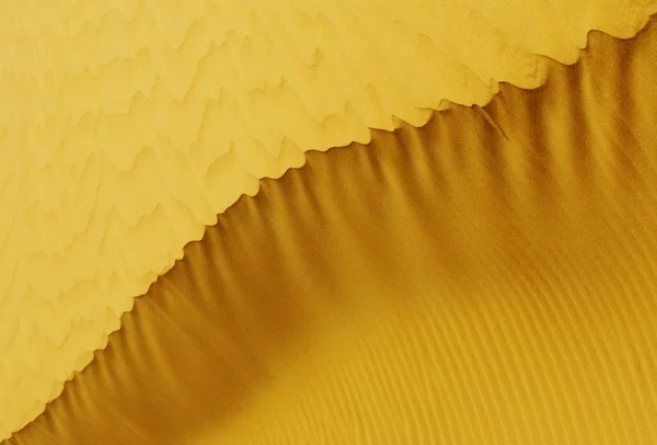 Фото: Текстура песчаной дюны — стоковое фото