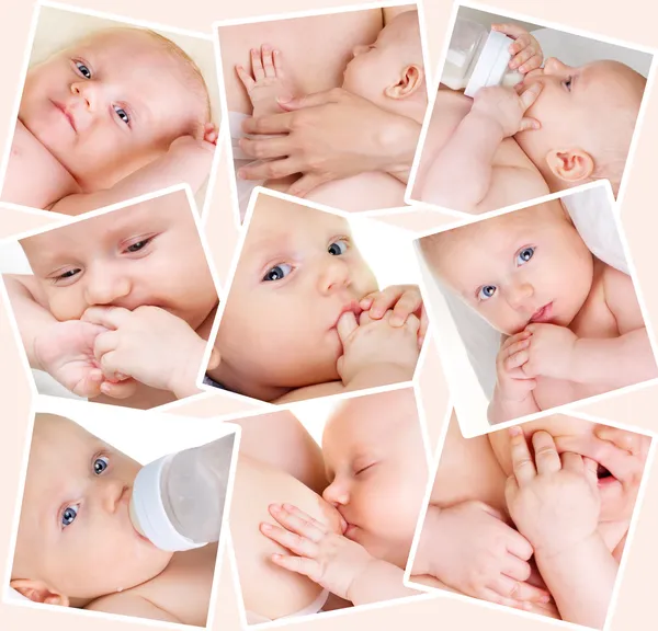 Collage de fotos de bebés — Foto de Stock