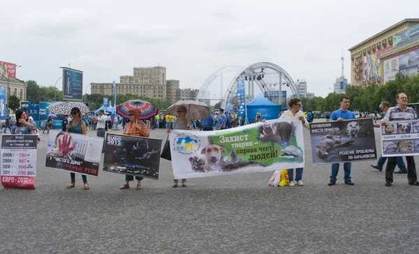 Organised rally protect of animals — Stock Photo, Image