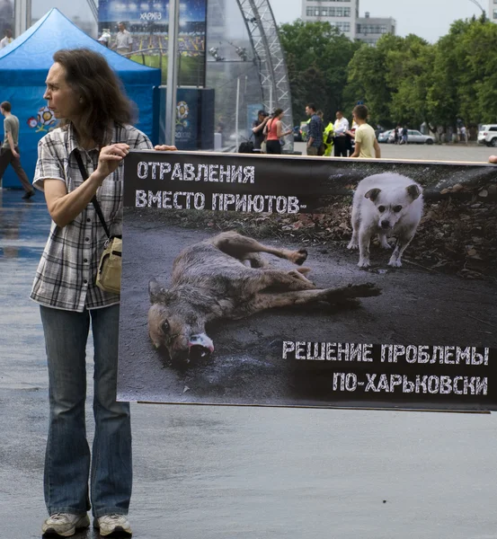 Manifestación organizada de protección de animales — Foto de Stock