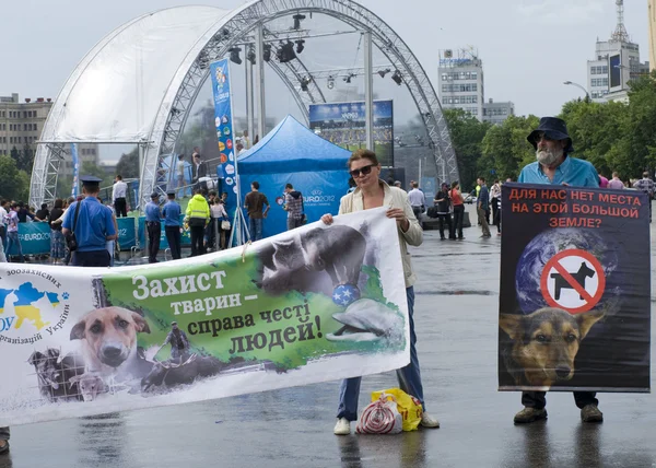 Organised rally protect of animals — Stock Photo, Image