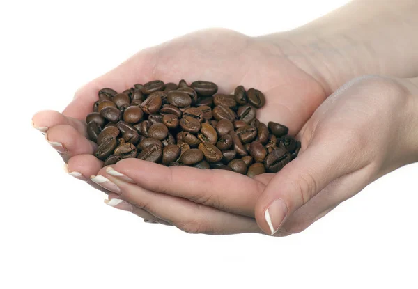 Kávová zrna v ruce — Stock fotografie