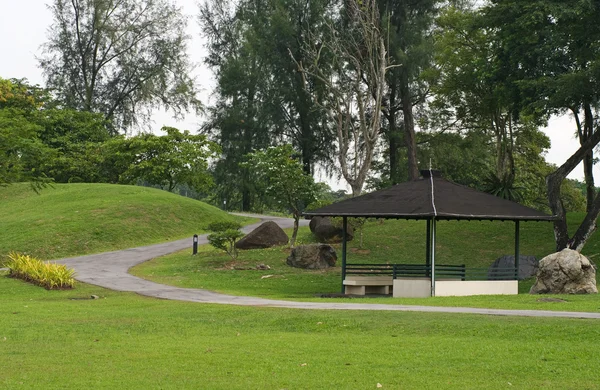 싱가포르에서 일본 정원 조 경 — 스톡 사진