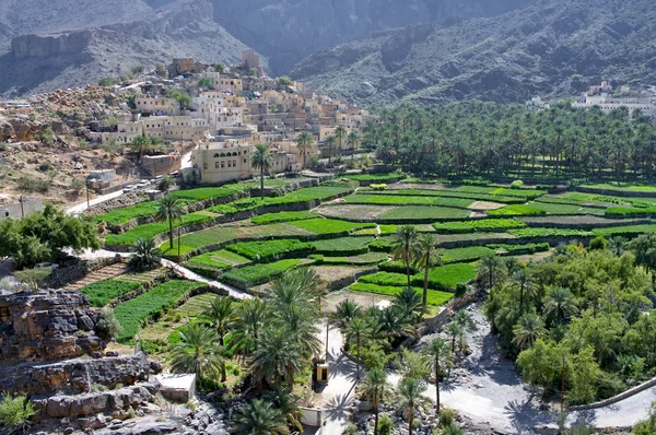 The village Bilad Sayt, sultanate Oman — Stock Photo, Image