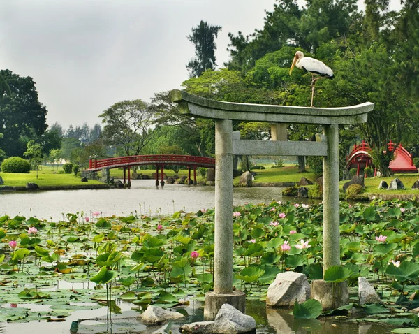 Japoński ogród pejzaż — Zdjęcie stockowe
