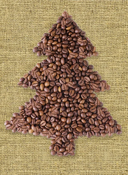 コーヒー豆からのクリスマス ツリー. — ストック写真