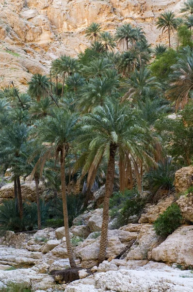 Un wadi natural en Omán — Foto de Stock