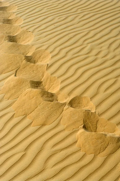 沙地上的脚印 — 图库照片