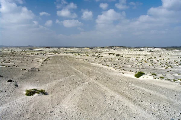 Auto band tracks in de woestijn — Stockfoto
