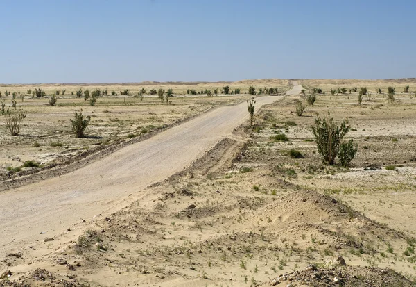 在阿曼沙漠路δρόμο στην έρημο του Ομάν — 图库照片