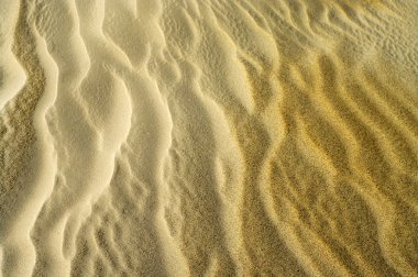 Beach sand background clipart