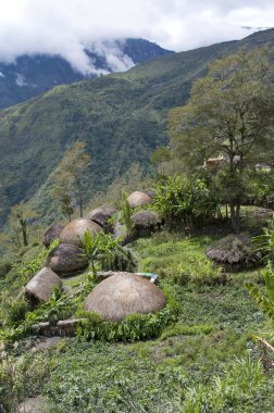 Papua, Endonezya geleneksel köy