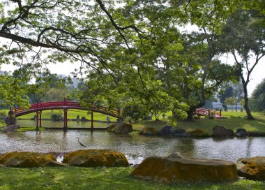 Singapur'da Japon bahçe peyzaj