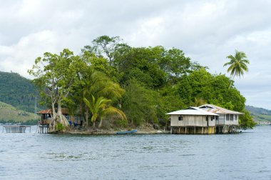 House on an island clipart