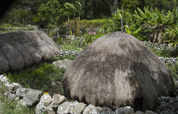 Een traditionele bergdorp in Papoea — Stockfoto