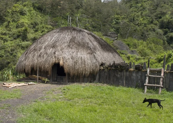 Ein traditionelles Dorf in Papua — Stockfoto