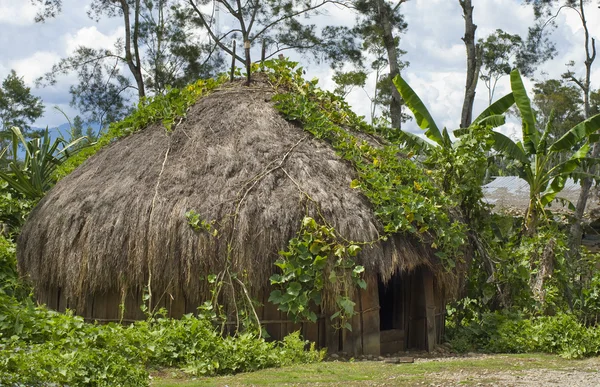 在山村里的传统小屋 — 图库照片