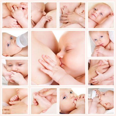 Collage of photos of babies clipart