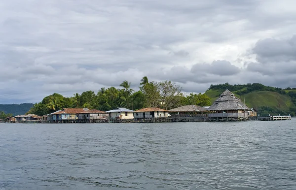 Дома на острове на озере Сентани — стоковое фото