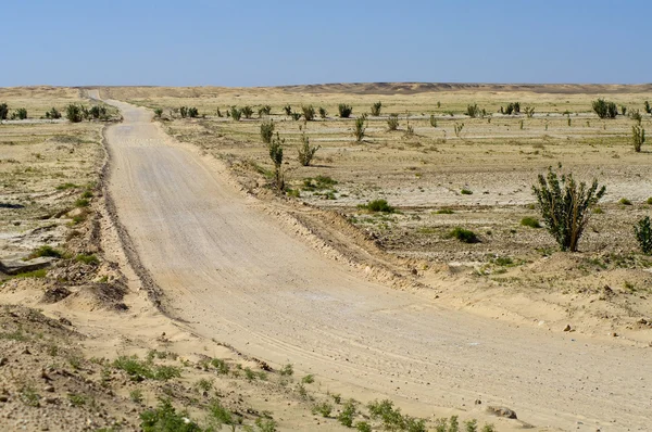 在阿曼沙漠路δρόμο στην έρημο του Ομάν — 图库照片