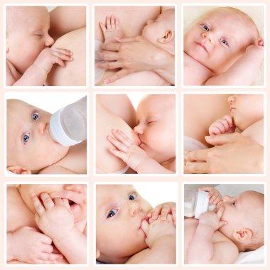 Collage of photos of babies clipart