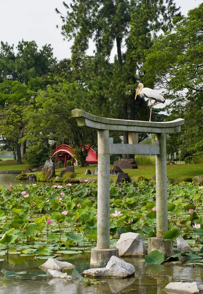 Paisagem jardim japonês em Singapura — Fotografia de Stock
