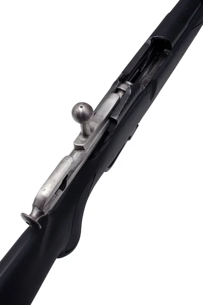 Відновлений гвинтівка Мосіна гвинтівка 1 — стокове фото