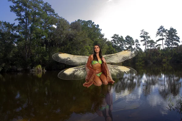 Fairy on a Lake — Stockfoto