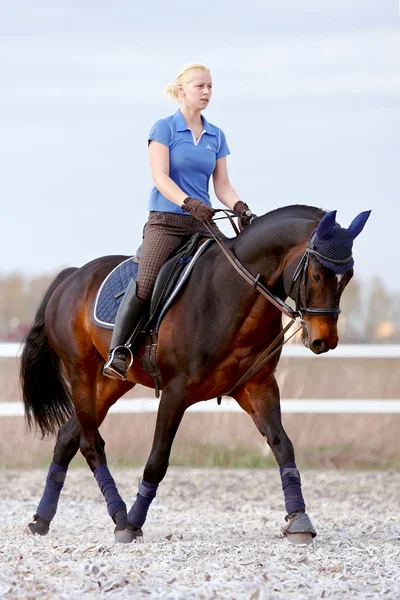 Die Reiterin auf einem braunen Pferd — Stockfoto