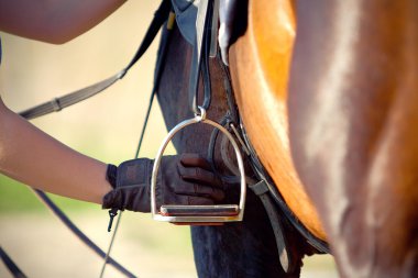 Saddle with stirrup clipart