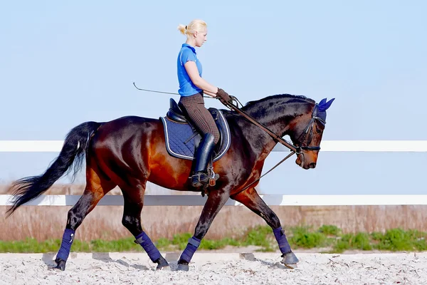 Flickan går på en brun häst — Stockfoto
