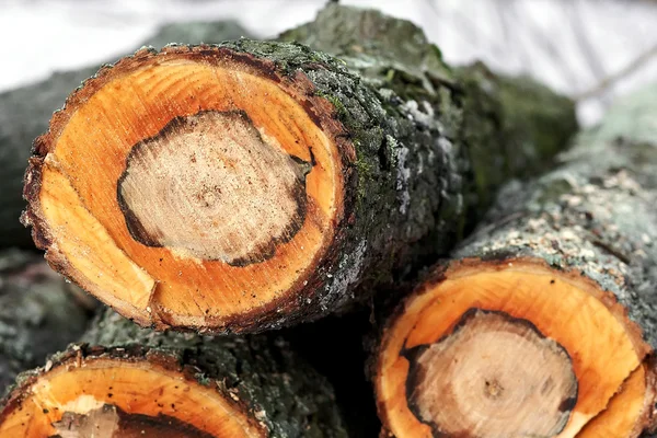 De gecombineerde logs close-up op brandhout — Stockfoto